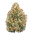 Rainbow Cookie Strain