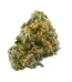 Rainbow Zkittlez Strain