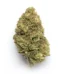 Rainmaker Strain