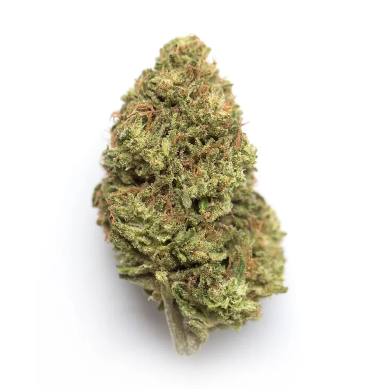 Rainmaker Strain