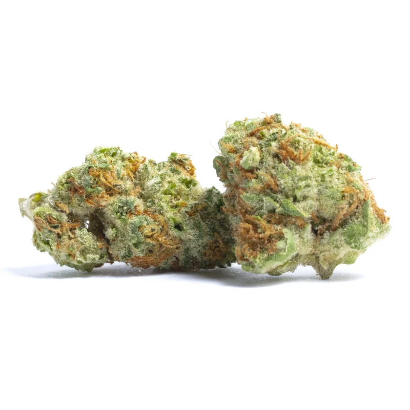 Red Dragon Strain
