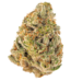 Rolls Choice Strain