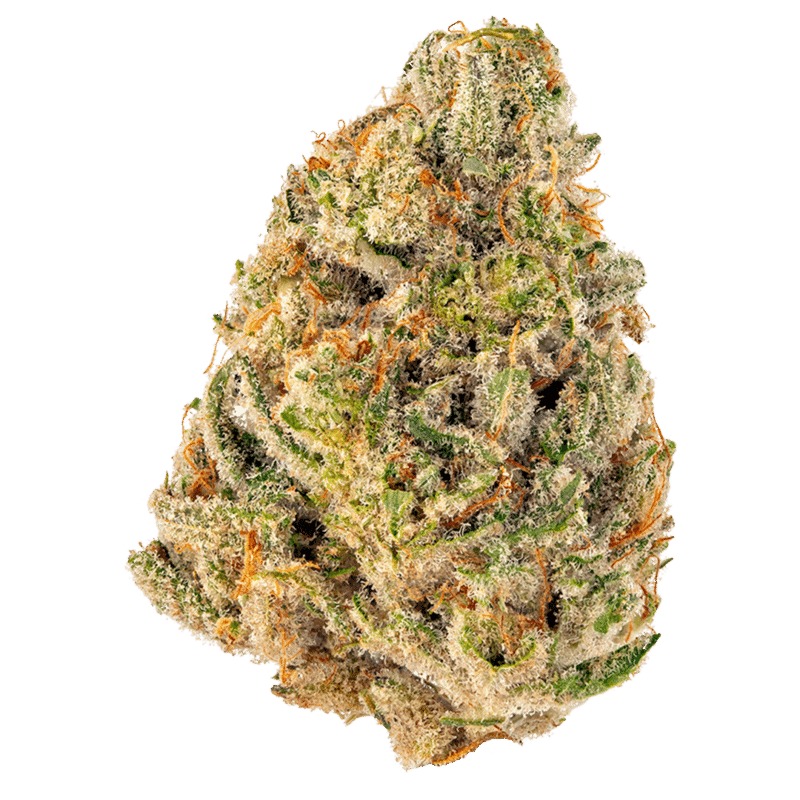 Rolls Choice Strain