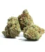 Royal Gorilla Strain
