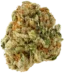 Sherb Crasher Strain