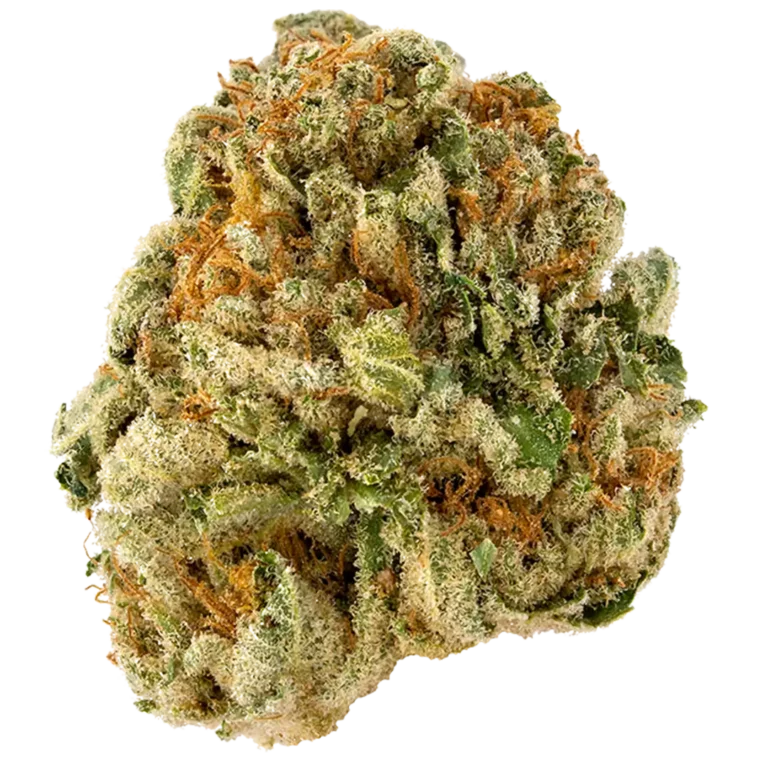 Sherb Crasher Strain