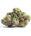 Skunkberry Strain