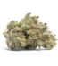 Snowball Strain