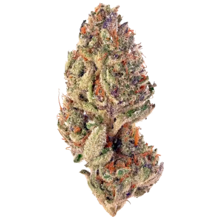 Sorbet Strain