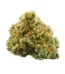 Sour Grape Strain