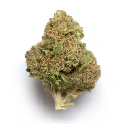 Sour Haze Strain