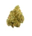 Sour Tangie