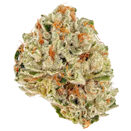 Strawberry Fields Strain