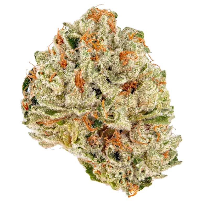 Strawberry Fields Strain
