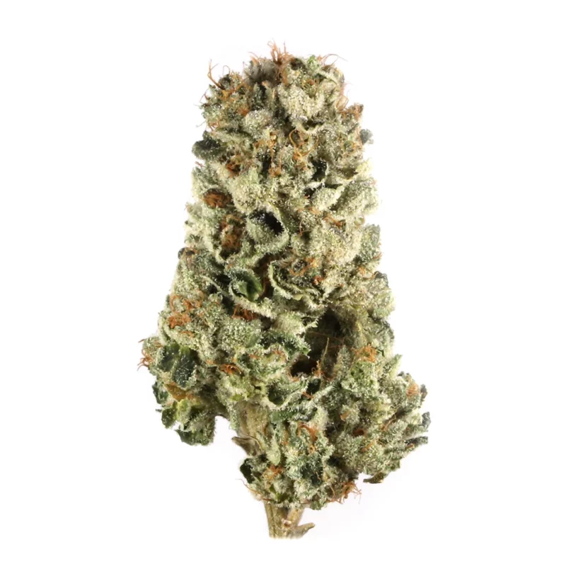 The Menthol Strain