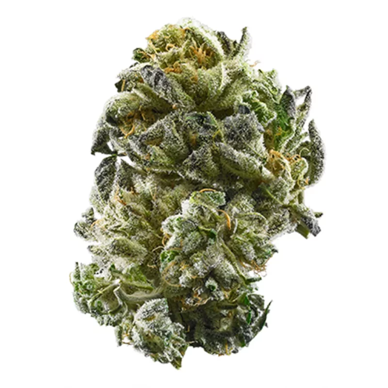 Titty Sprinkles Strain