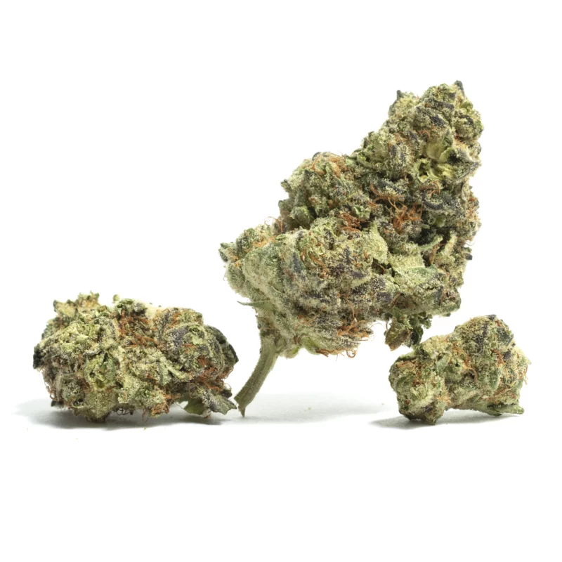 Tom Ford Strain