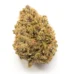 Voodoo Strain