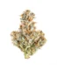 White Bubblegum Strain