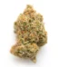 White Cookies Strain