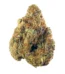 White Fire 43 Strain