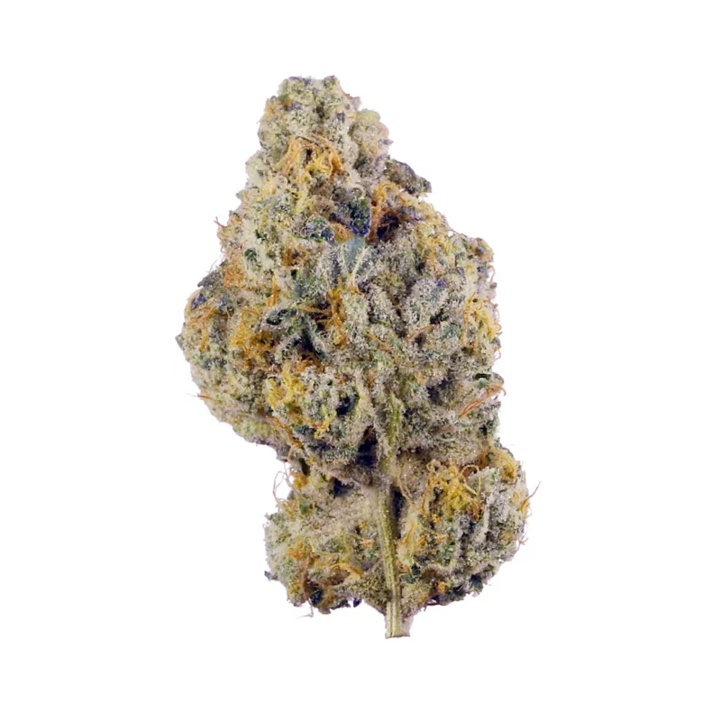 White Gold Strain