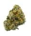 White Russian Strain