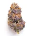 Wonka Bars Strain