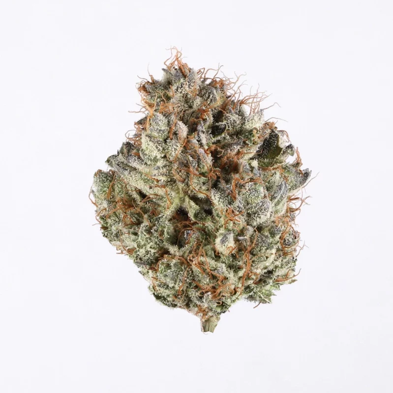 Zombie OG Strain