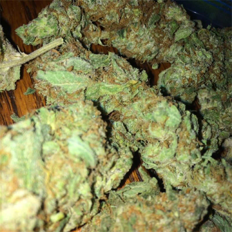 Cinex Strain
