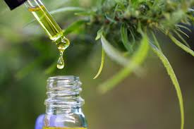 Cannabis Oil Explained