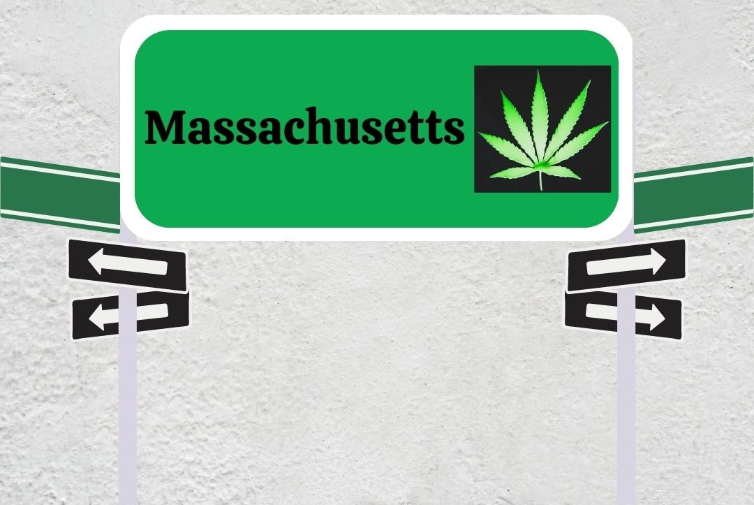 Iced Out Genetics take pride in growing the best Cannabis strains on Earth. Whether you are a beginner or an experienced cannabis connoisseur, we’ve got some great genetics with which you will grow your best buds.