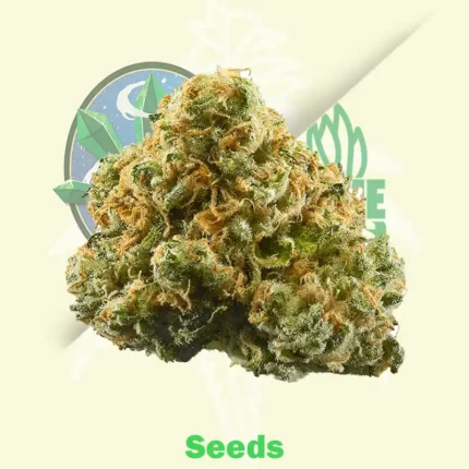 60 Day Lemon by DNA Genetics