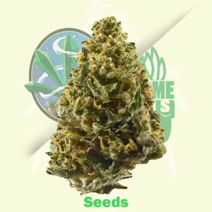 Northern Lights Auto by White Label Seed Company