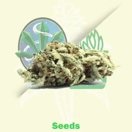 Sweet Skunk Automatic