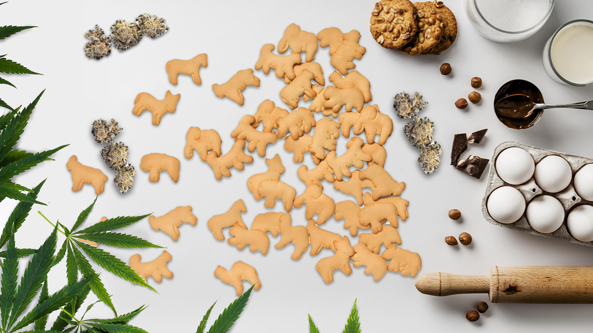Animal Cookies Strain