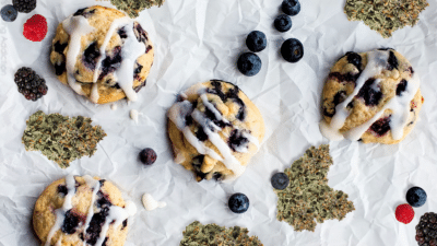 Blueberry Cookie Strain Cannabis