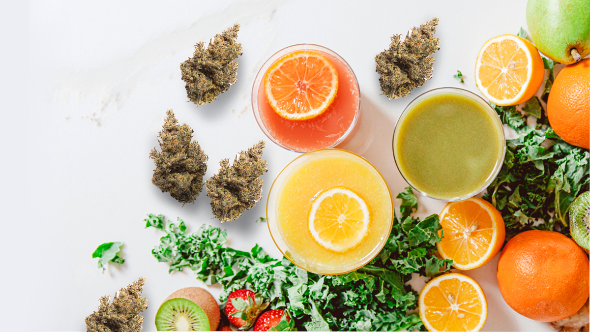 ORANGEADE Strain