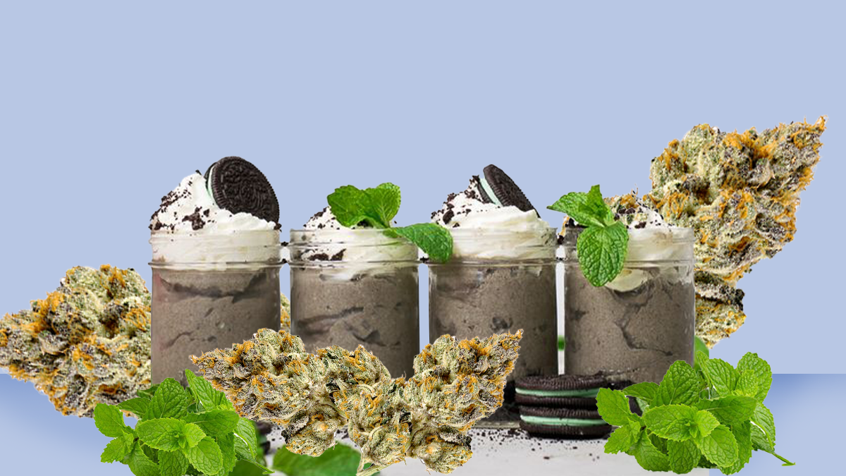 Oreoz Strain