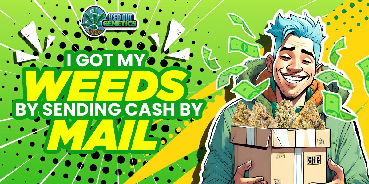 mail order marijuana