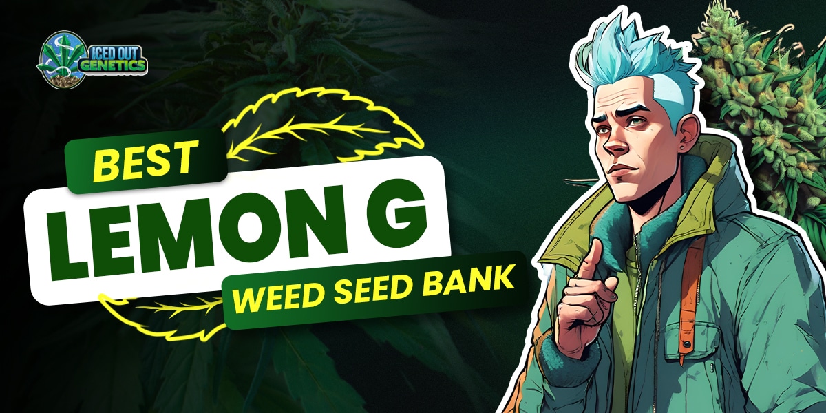Lemon G Weed Seed Bank