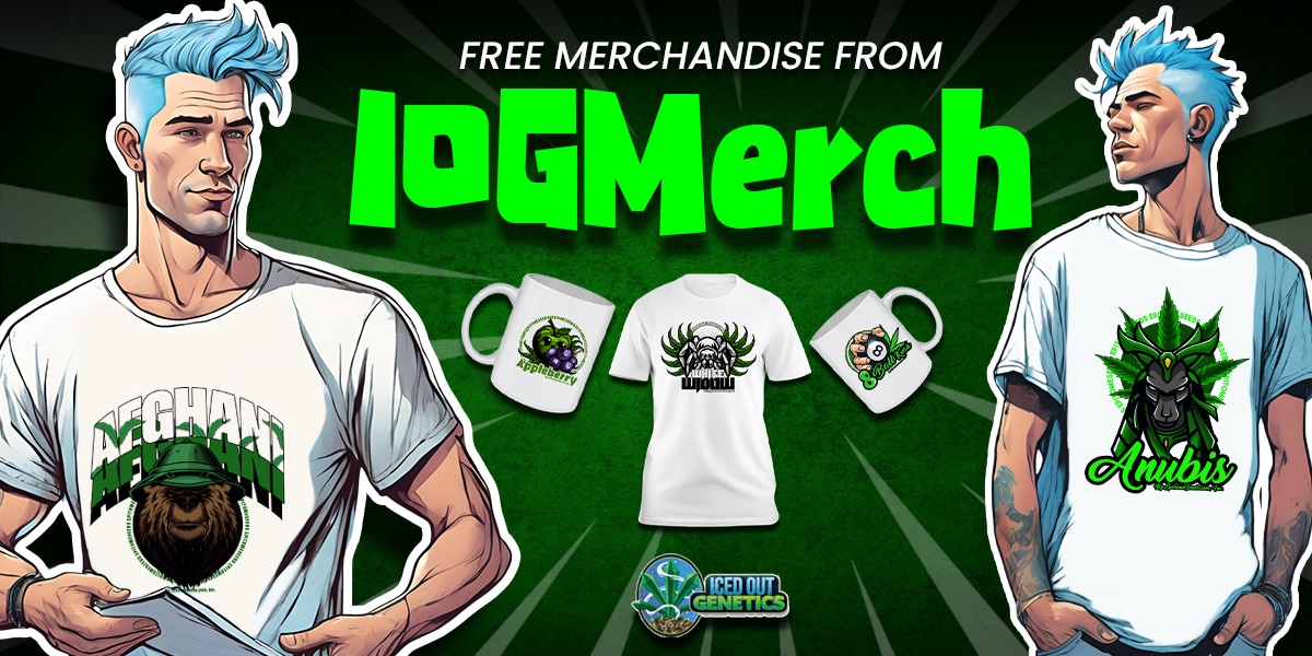 iogmerch iogenfluencers