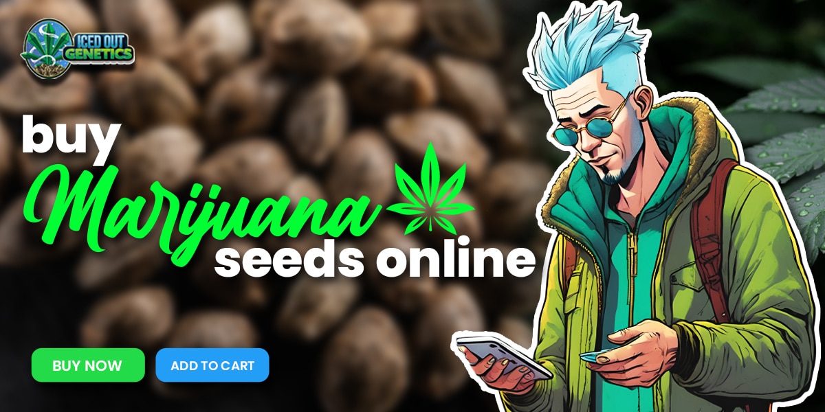 buy marijuana seeds online