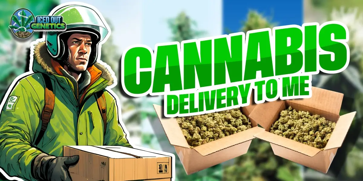 cannabis delivery to me