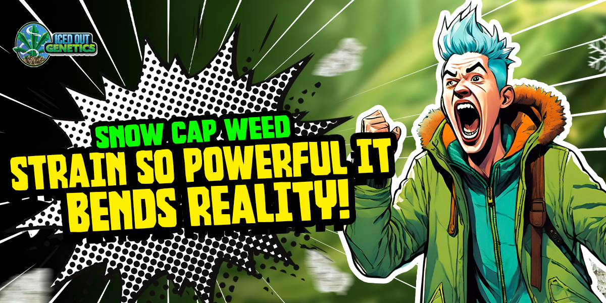 snow cap weed