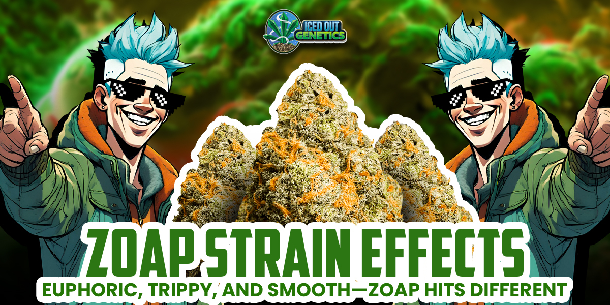 Zoap Strain Effects