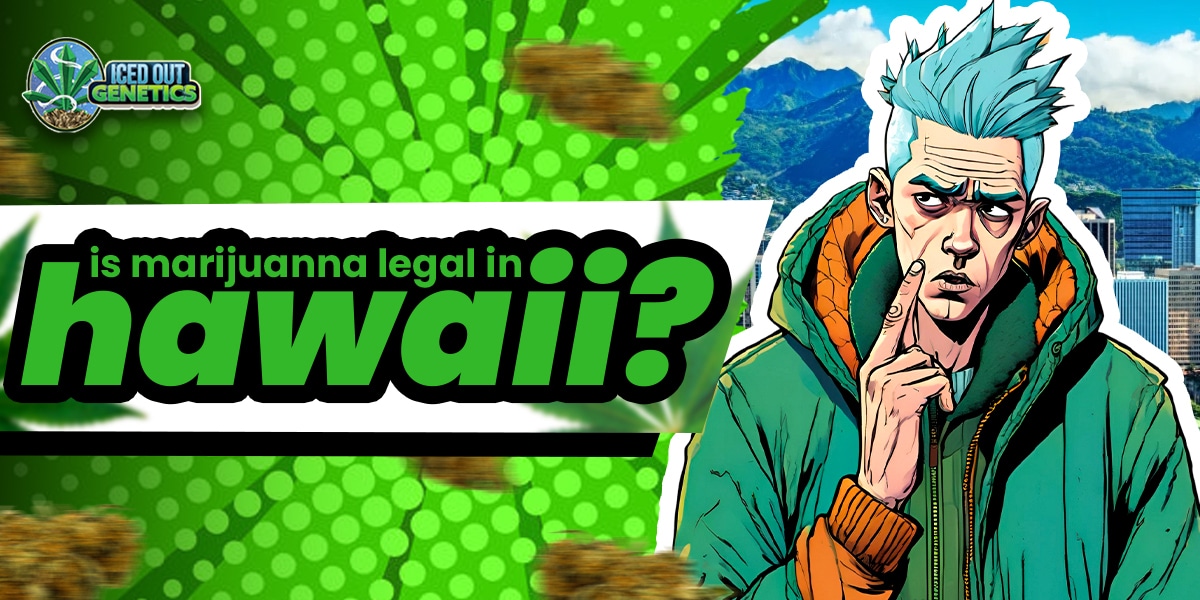 Is Marijuana Legal In Hawaii