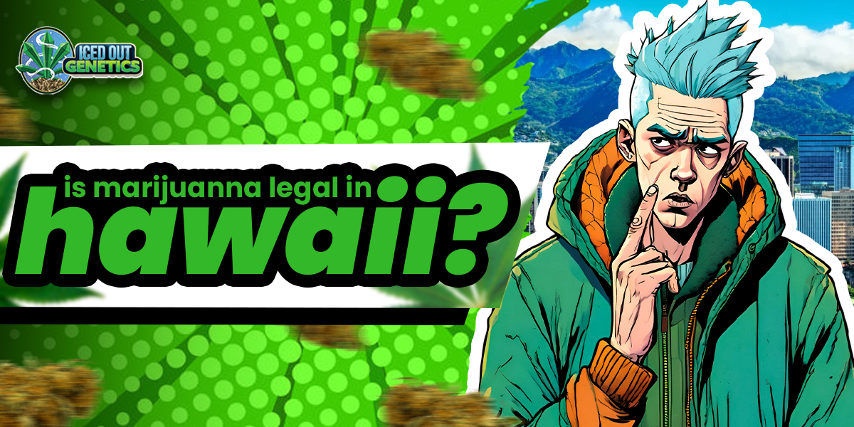 is marijuanna legal in hawaii