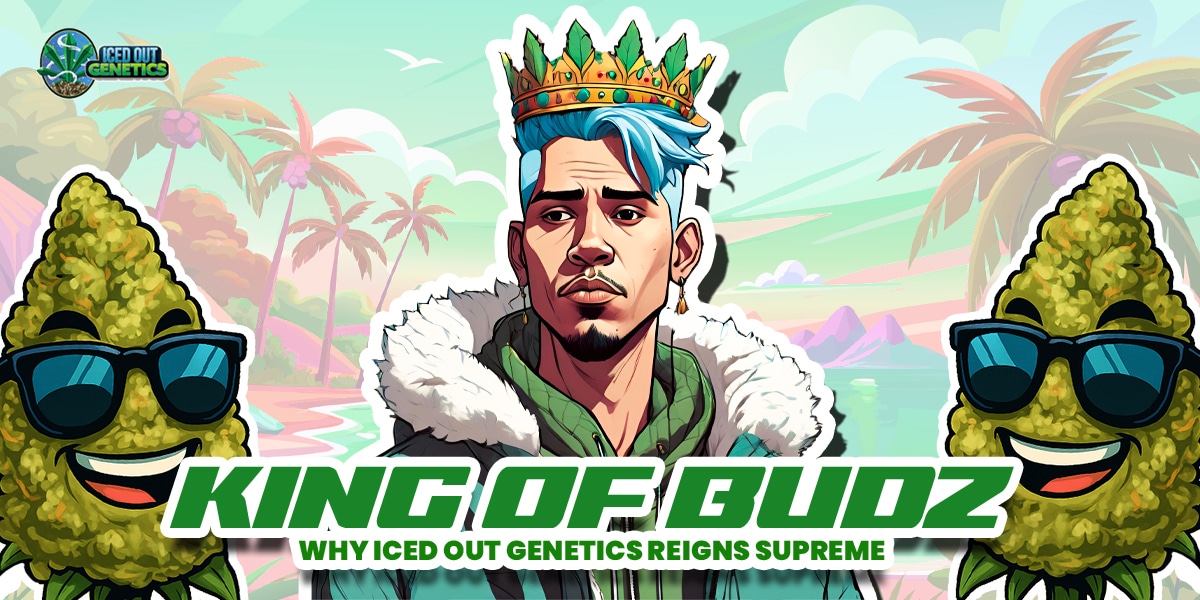 King Of Budz