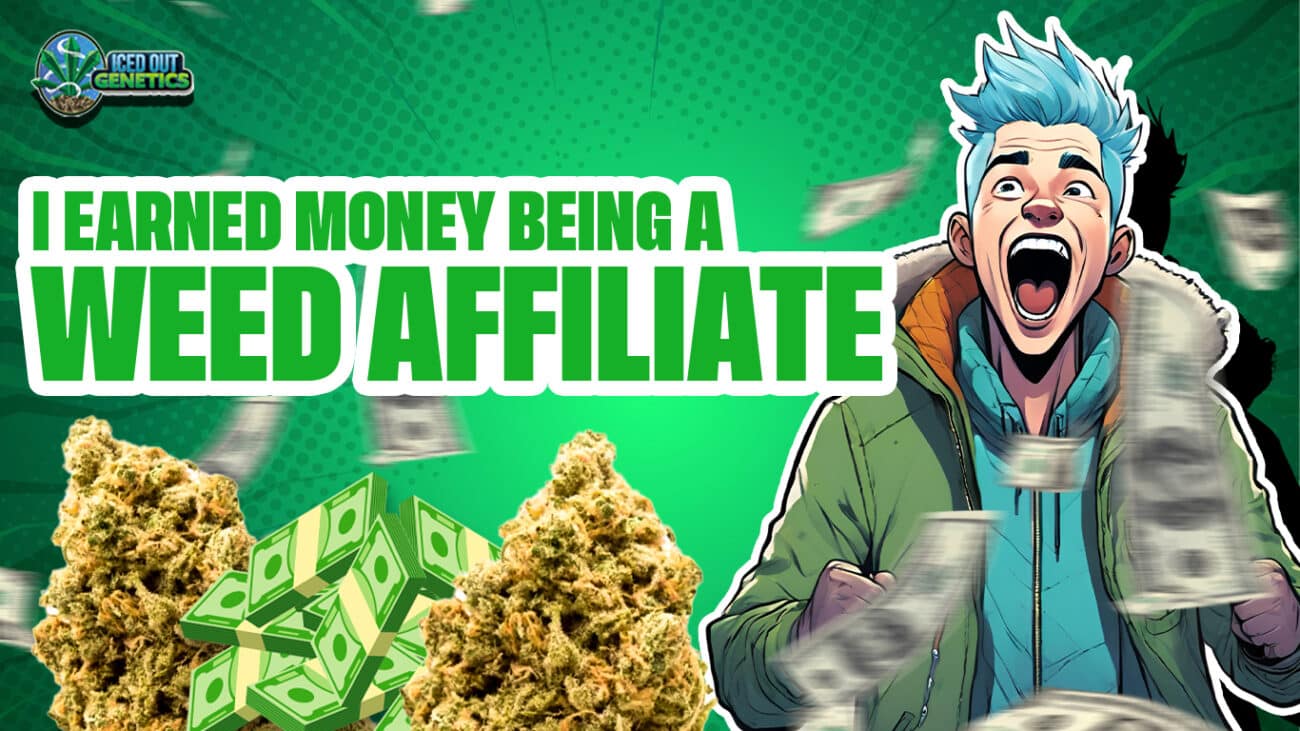 Iced Out Genetics Affiliate Program